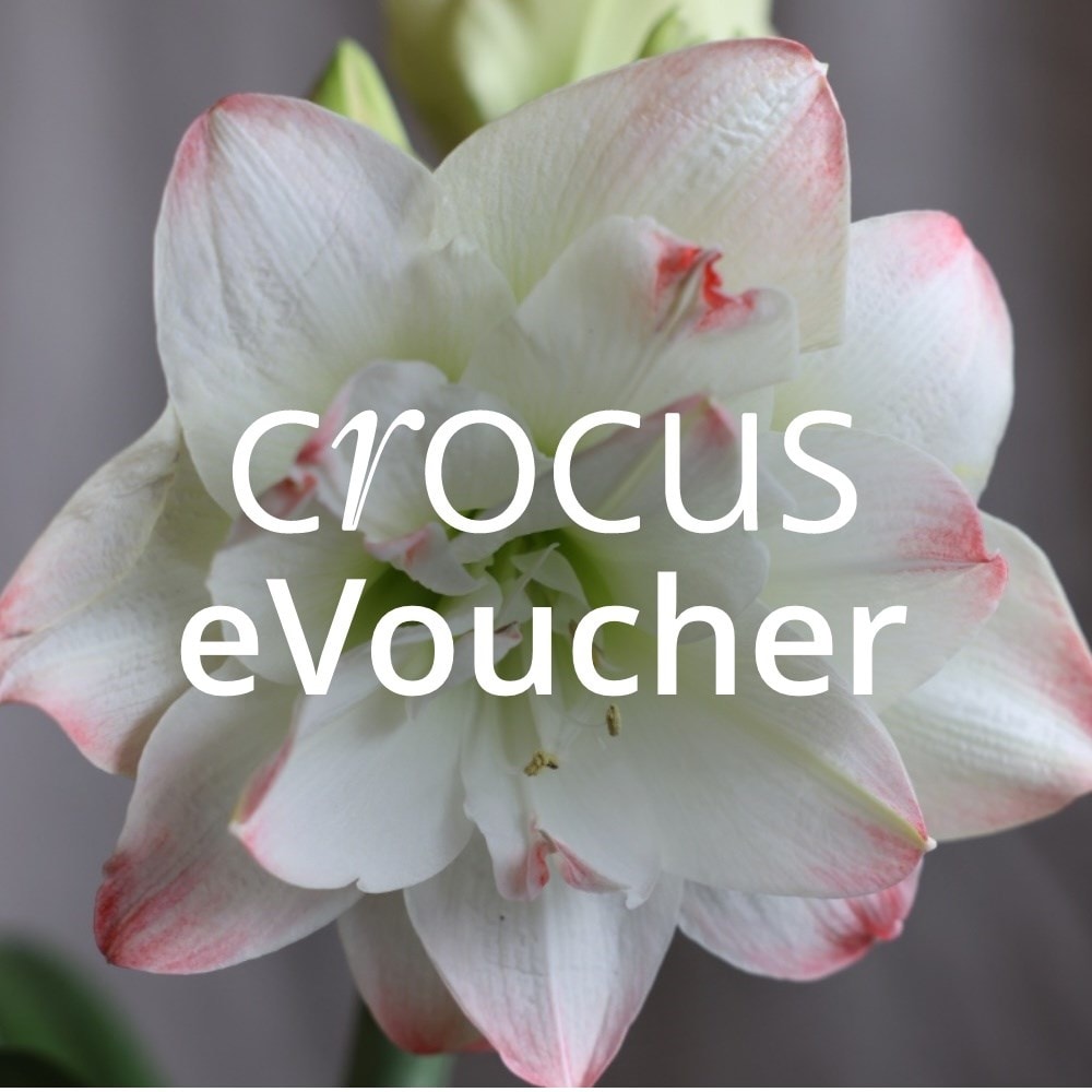 Crocus gift vouchers