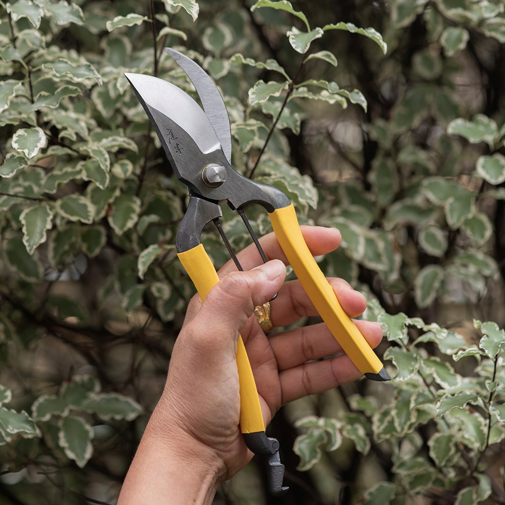 Cutting & pruning tools